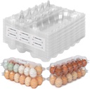 60 Packs 12 Count Clear Egg Cartons, 2 * 6 Grids Design, Perfect for Family, Farm, Markets, Display(Large)