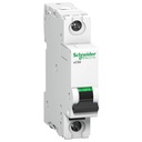 Schneider 2A SP C-Curve ACTI9 10kA MCB (White) (A9N1P02C)